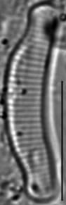 111645A  E Ten