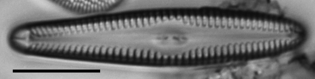 6 53920  Gchristenseni2