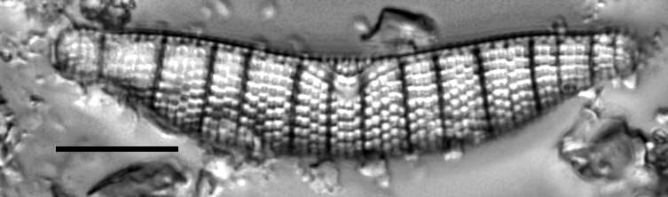 Epad Iho44070 3Edited