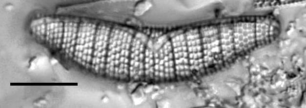 Epad Iho44070 7Edited