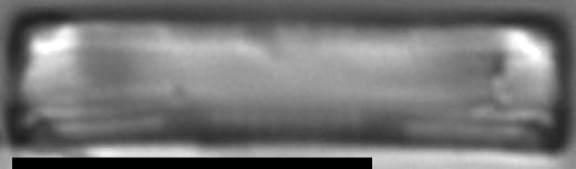 Eunotia cataractarum LM2