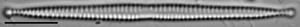 Framphicephaloides 3A