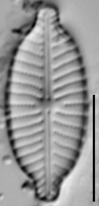 Ill 2015 15( Iwb)   18 Cl