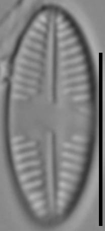 Iwb 0097 20170509 02 Cl