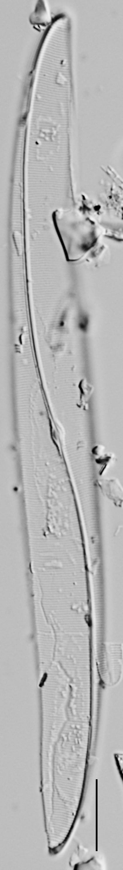 Me10042  A 102417 36