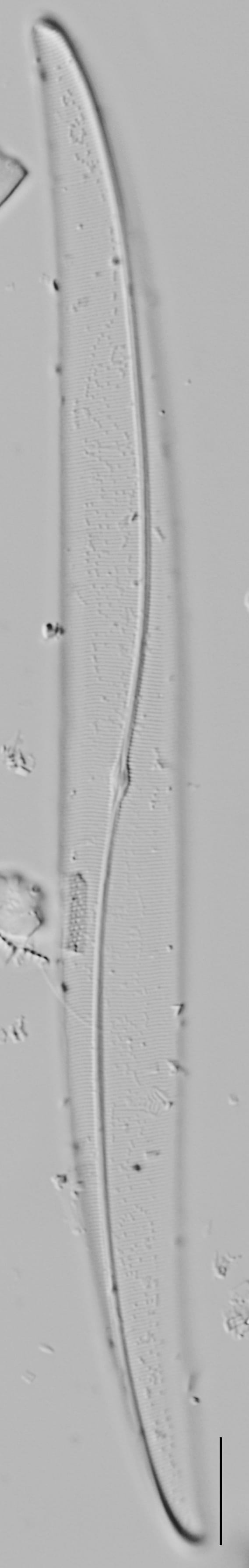 Me10042  D 012318 01