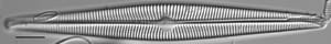 Navicula galloae LM1