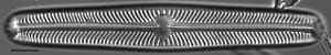 Navicula oblonga LM5