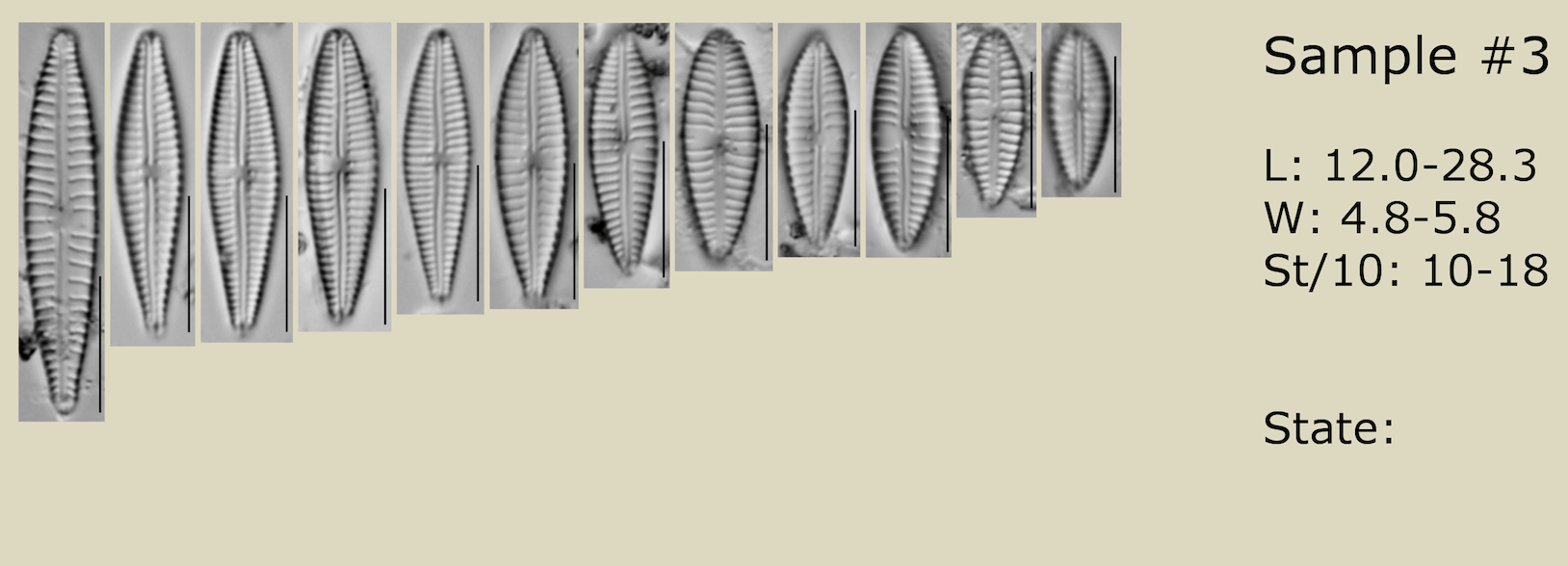 Screen Shot 2019 03 30 At 5 14 45 Pm