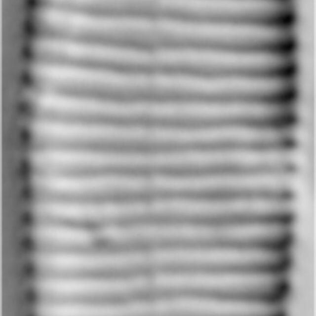 Fragilariforma virescens LM5