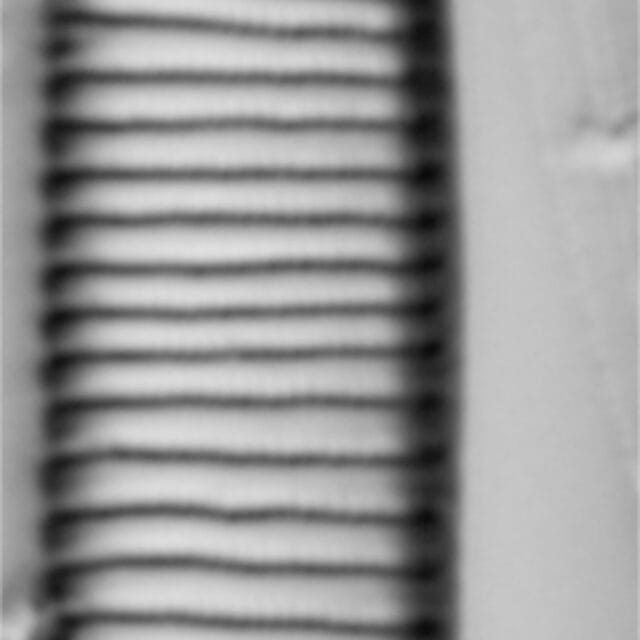 Eunotia implicata LM7