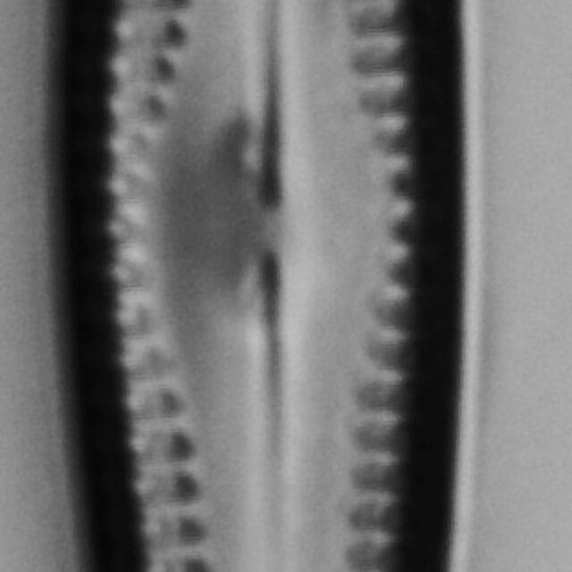 4 53920  Gchristenseni