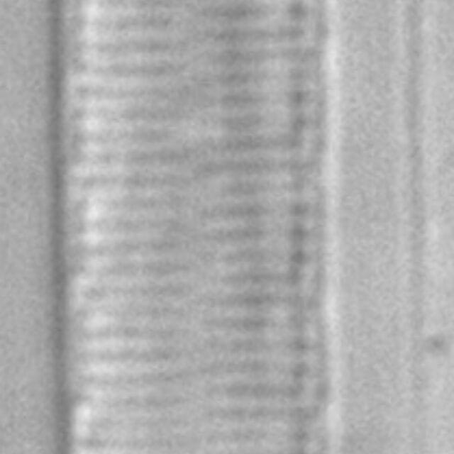 ANSP2646 Sdelic 1264 42 1