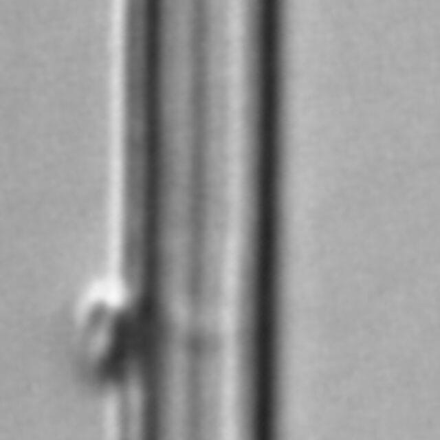 Asralf Amer  Mbe725B 3001 166 7