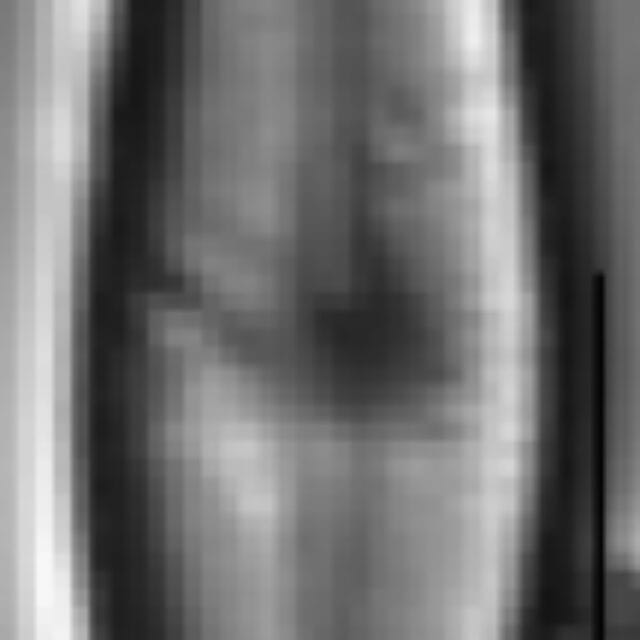 Adlafia umiujaqensis LM1