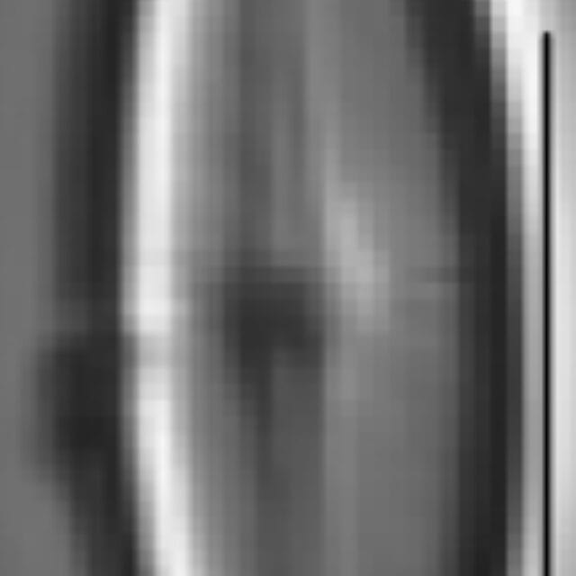 Adlafia umiujaqensis LM2