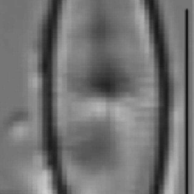 Adlafia umiujaqensis LM3