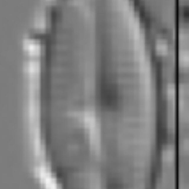 Adlafia umiujaqensis LM4