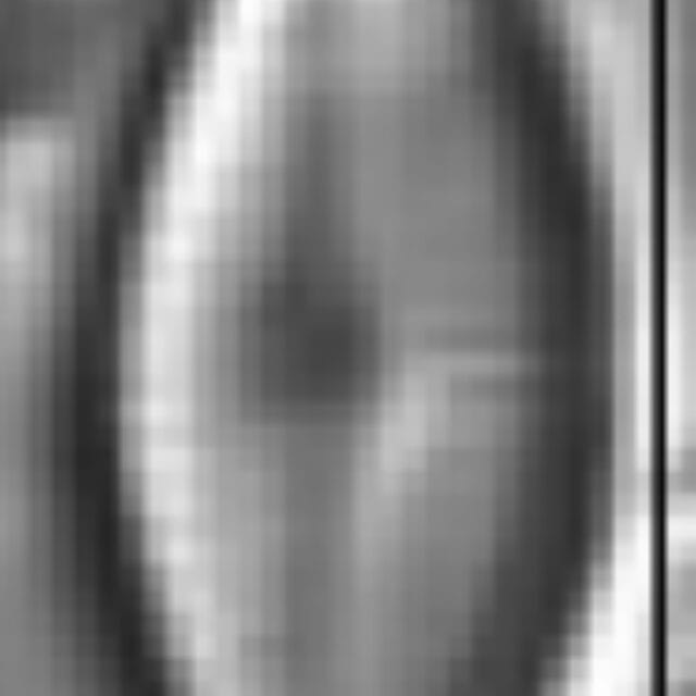 Adlafia umiujaqensis LM5