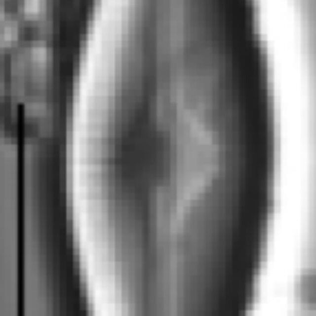 Adlafia ossiformis LM2