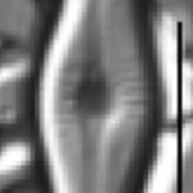 Adlafia ossiformis LM4