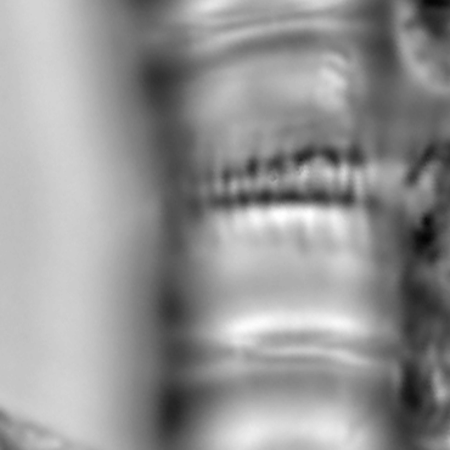 Aulacoseira pseudoamericana LM5