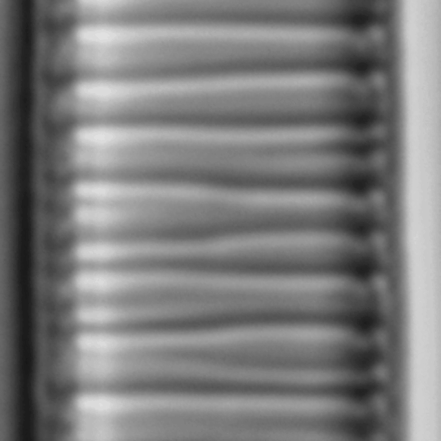 Diatoma Ehrenbergii 17 Rotated 2  Nydec15 P054