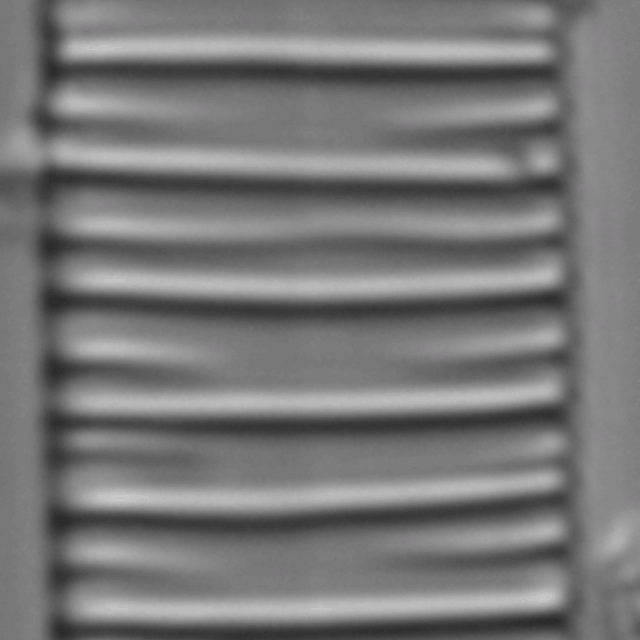 Diatoma Ehrenbergii 18 Rotated  Nydec15 P054