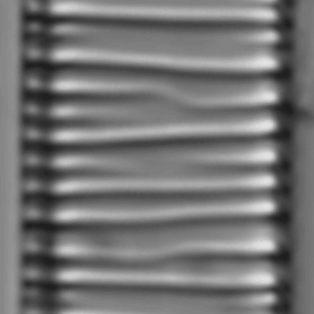 Diatoma Ehrenbergii 19 Rotated 2  Nydec15 P054 Stitched