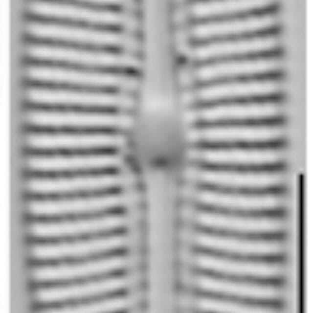 Diploneis potapovae LM2