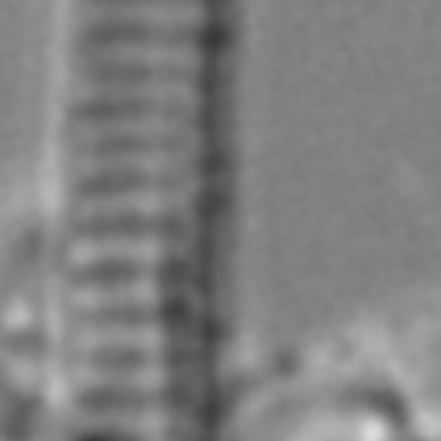 Euzasuminensis  Smm16212B 692 38 4