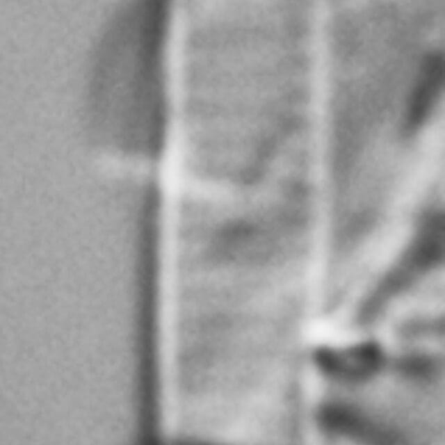 Eunotia romanowii ANSP Siver Egg Harbor0 1 02