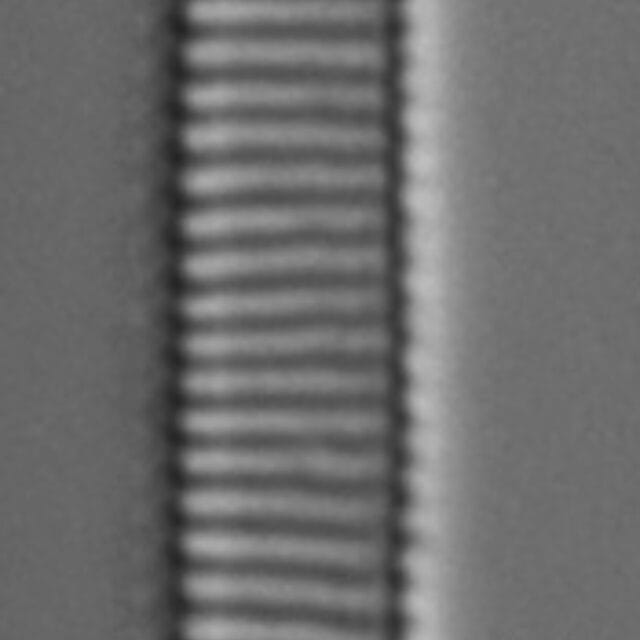 Eunotia 139 080B A 1600X Ps