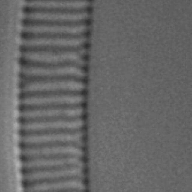 Eunotia 50 076B C  Ss