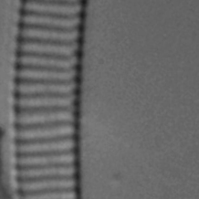 Eunotia Flexuosa 4 068B A  Ss