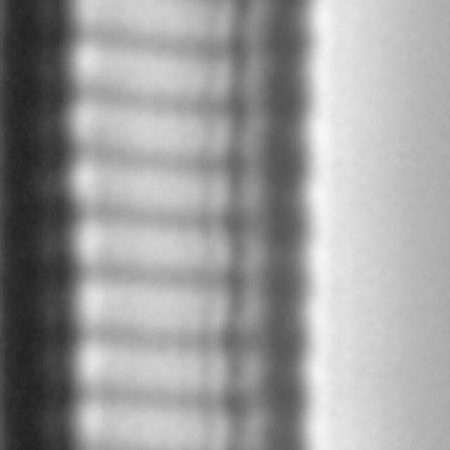 Eunotia mydohaimasiae LM4