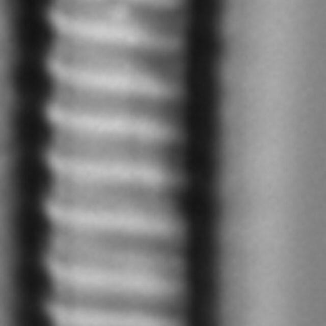 Eunotia mydohaimasiae LM6