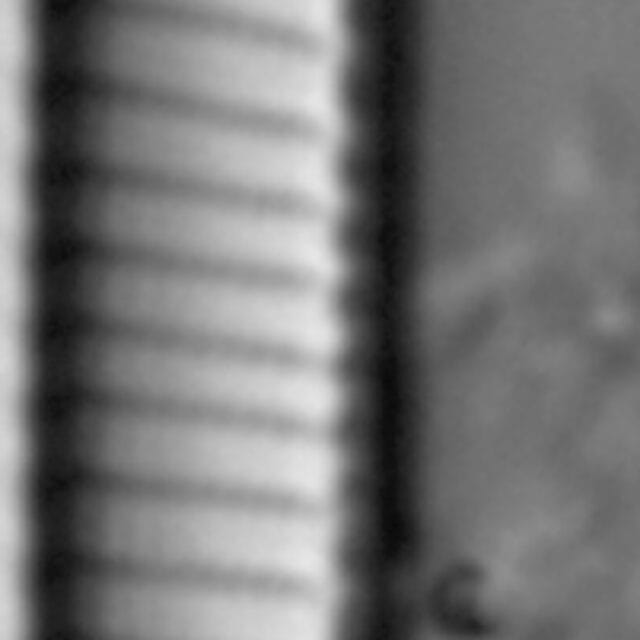 Eunotia mydohaimasiae LM7