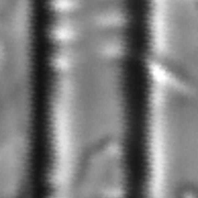 Framphicephaloides 4