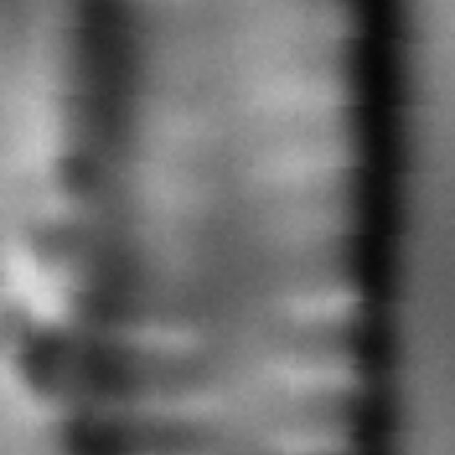 Framphicephaloides 7