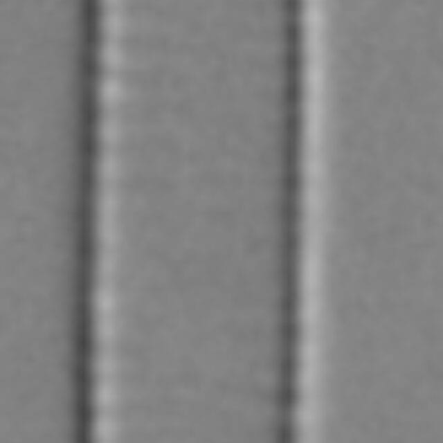 Fragilaria Longifusiformis LM2 jpg