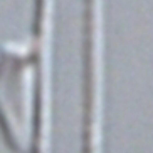 Fragilaria aquaplus LM1 042 2006 b