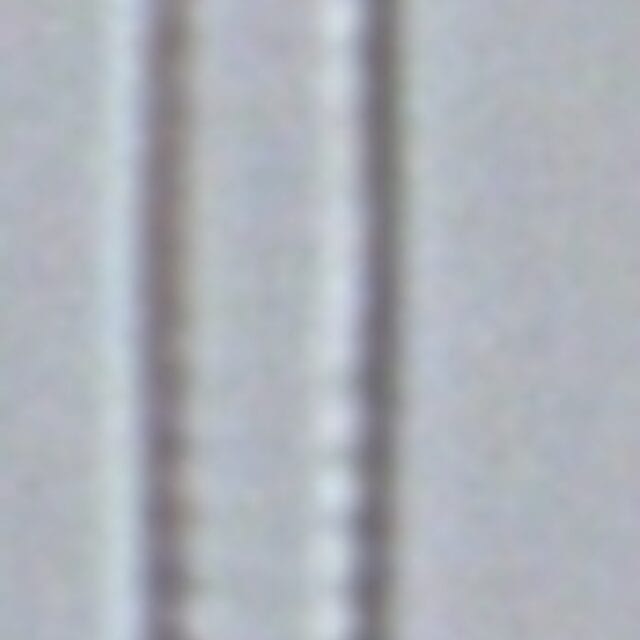 Fragilaria aquaplus LM2 138 2014 f