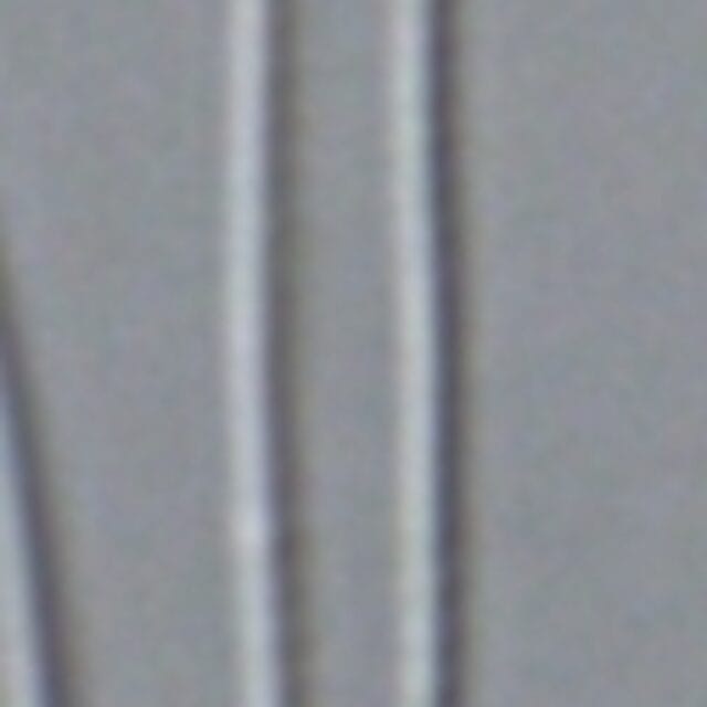 Fragilaria aquaplus LM2