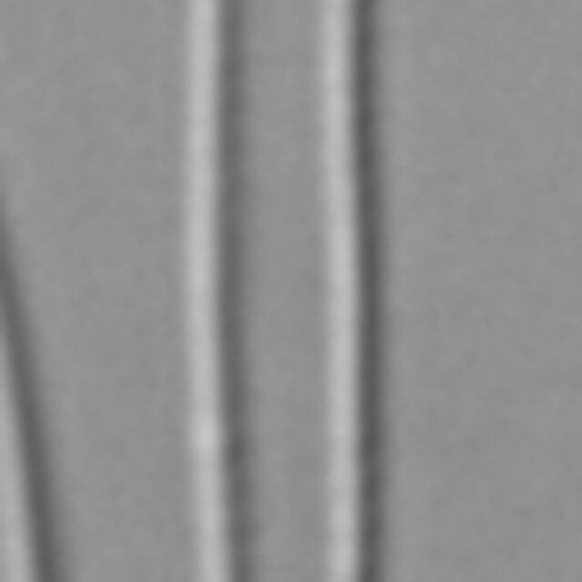 Fragilaria aquaplus LM2_2