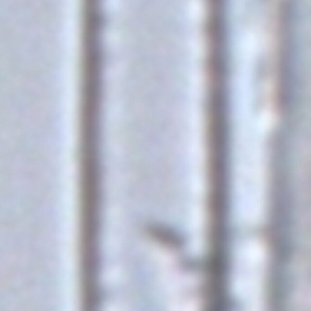 Fragilaria aquaplus LM3 138 2014 b