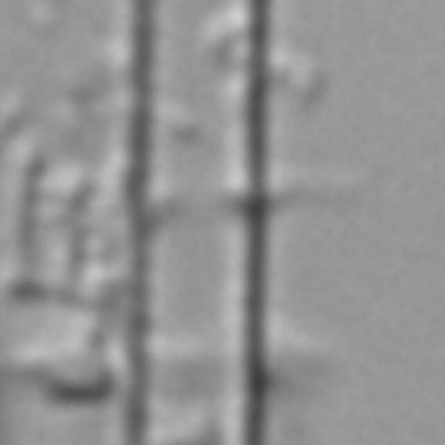 Fragilaria aquaplus LM3_2