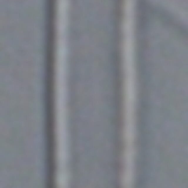 Fragilaria aquaplus LM4 138 2014 e