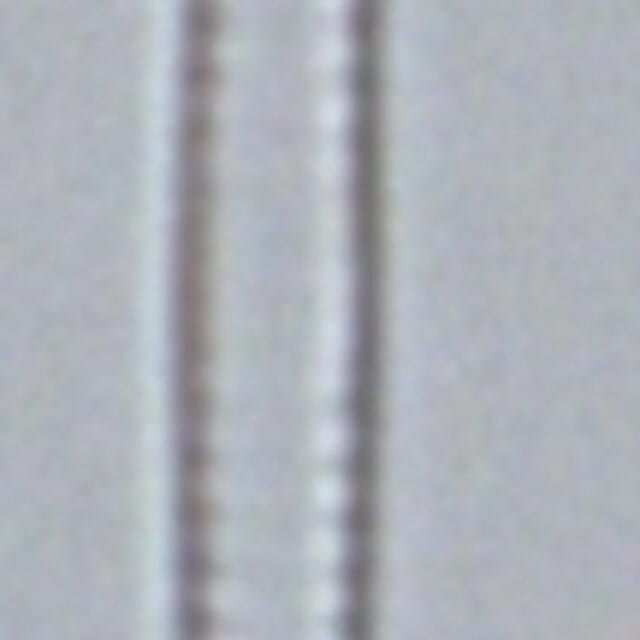 Fragilaria aquaplus LM4