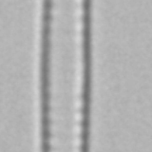 Fragilaria aquaplus LM4_2